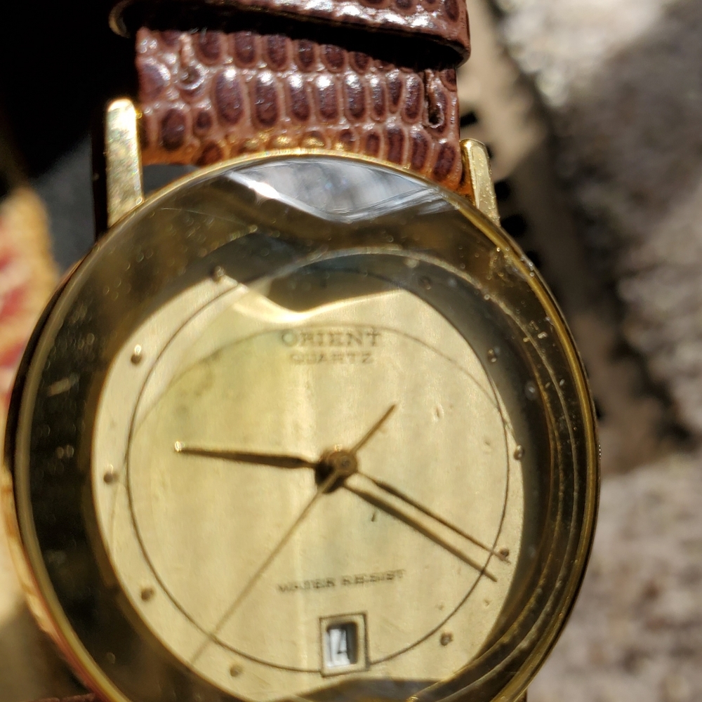 Orient Watch - image 4
